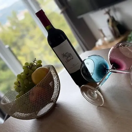 Apartment Seaview Donji Okrug (Ciovo)